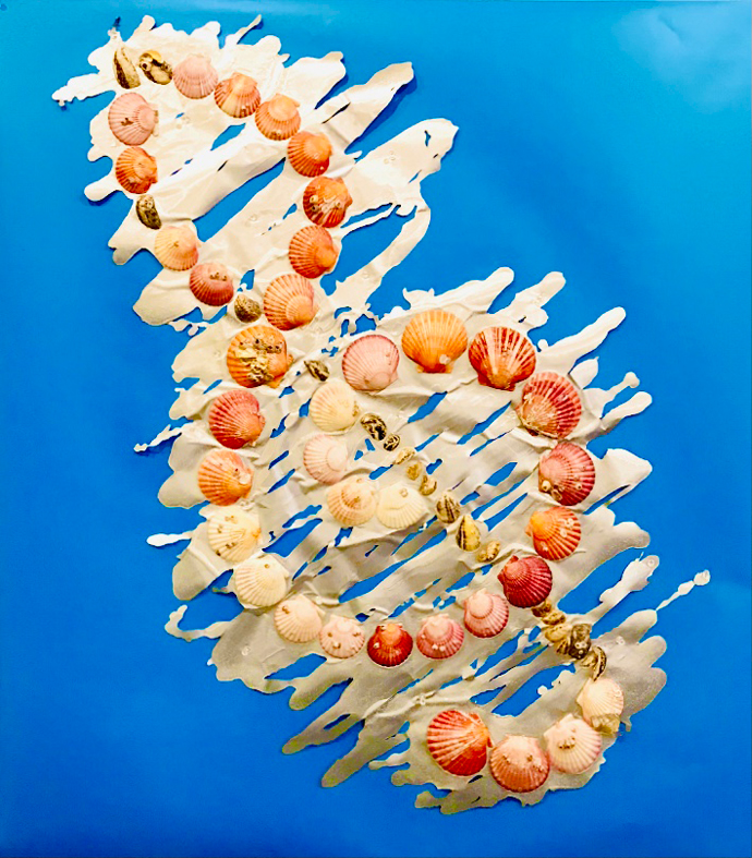 G-clef seashells_80x100cm